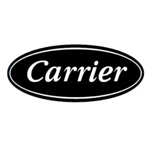 Draft Home page carrier logo - client of Abayam translation services